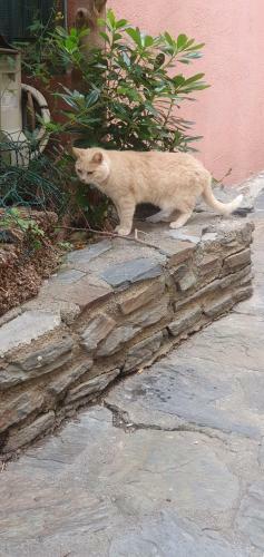 Studio With Fantastic Sea View