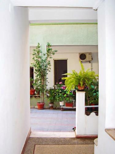 Apartamento Appartamento Vicino Al Centro