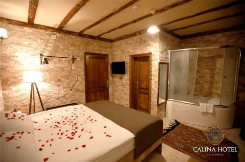 Hotel Calina Otel