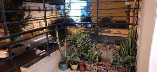 Apartamento Departamento 2 Dormitorios En Centro de Corrientes.