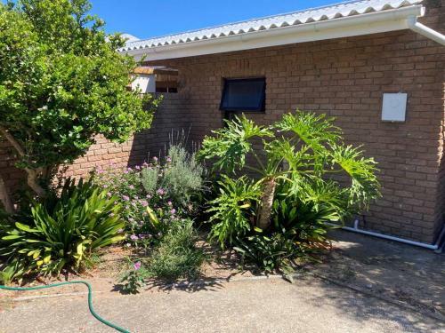 Apartamento Gardenroute Accomodation 750 Mtr. The Beach