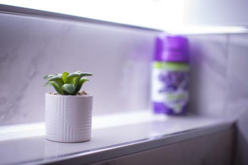 Apartamento My Space