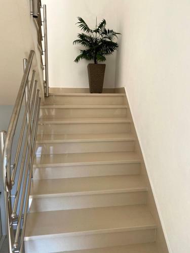 Apartmani Mare
