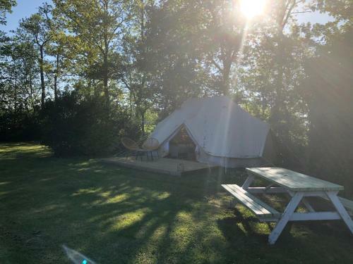 Safaritent Mini-camping Whanau