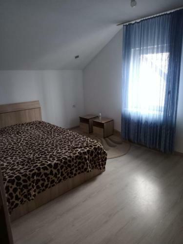 Villa Vila Nicu