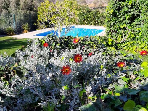 Bed & Breakfast Villa Tranberg