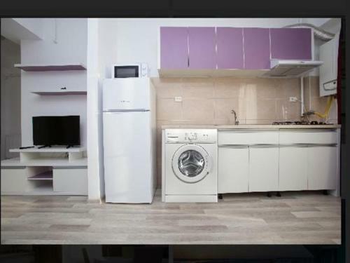Crazy Apartment Summerland Mamaia