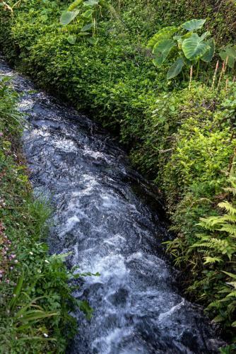 Furnas Sweet Home