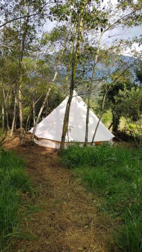 Glamping/camping Eco Montezuma
