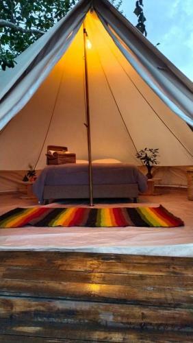 Glamping/camping Eco Montezuma