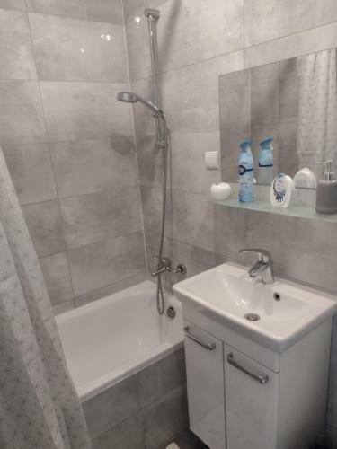 Boguslava Apartment