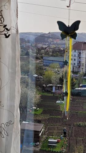 Apartament Yrm