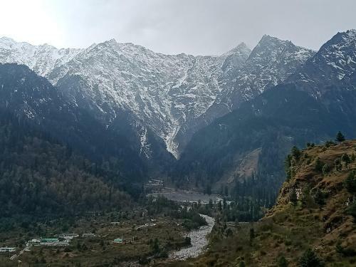 Solang Valley Camp