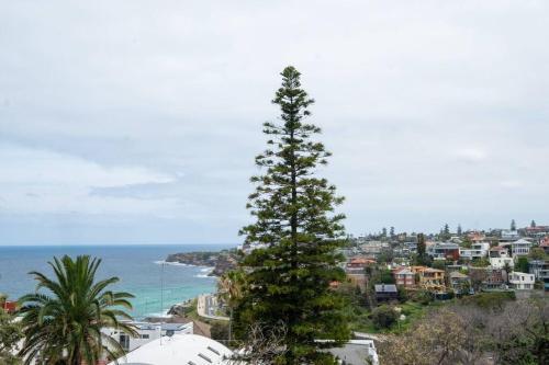 Elite Beachside Holiday Home / Tamarama
