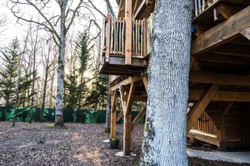 Charmante Cabane Dans Les Arbres Avec Jacuzzi Et Sauna