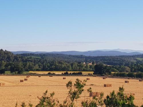 Entre Bl� Et Lavande