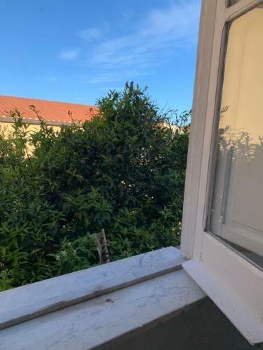 Apartamento Ruggero Garden