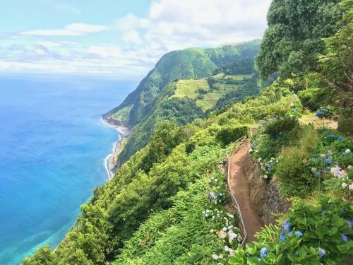 Azores Accommodation A+
