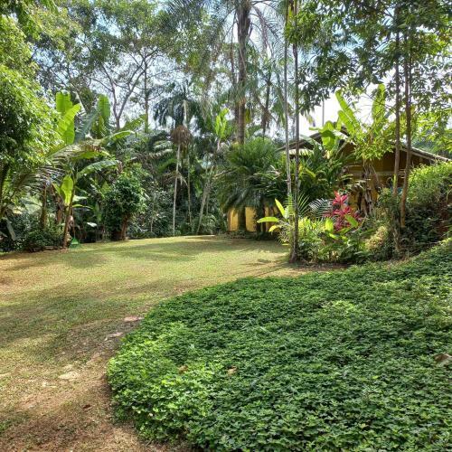 Espa�o Nosso Quintal (Casa Can�rio)