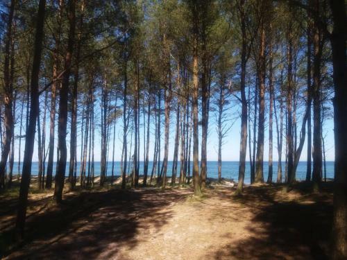 Lodge Domki Bia?e Zacisze