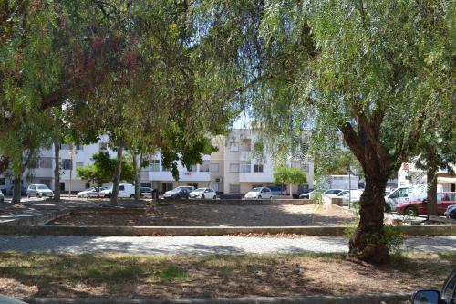 Apartamento Casa Amado Portim�o