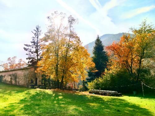El Pati De L'ermita