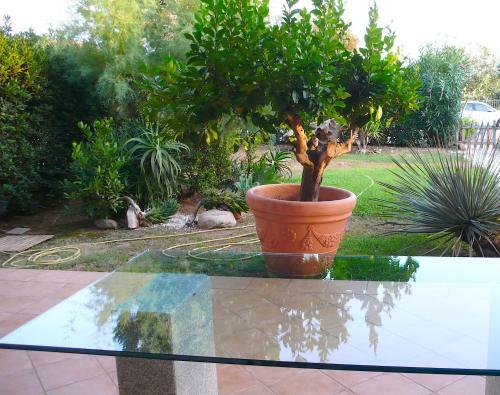 Villa Arrecifes Apartment