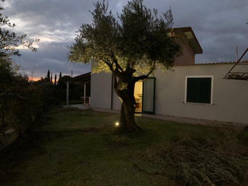 Villa Molaro Bed&green - Free Parking & Wifi