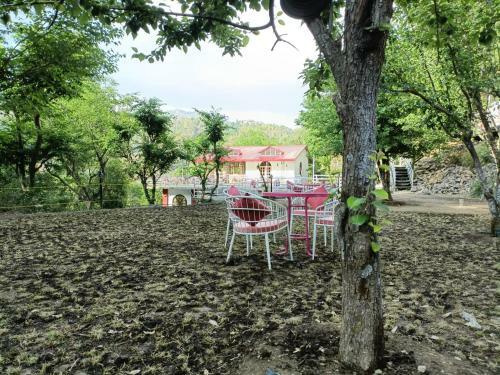 Hotel Aaroham Resort, Shimla