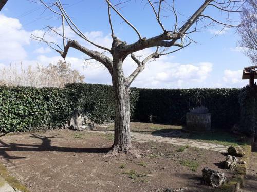 Agroturismo La Piana
