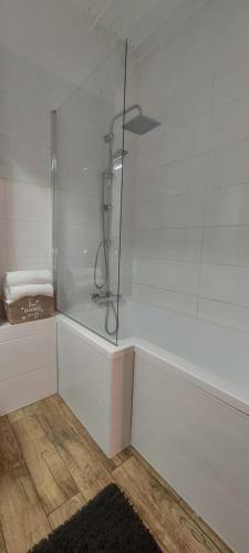 Apartament W Centrum Rumi