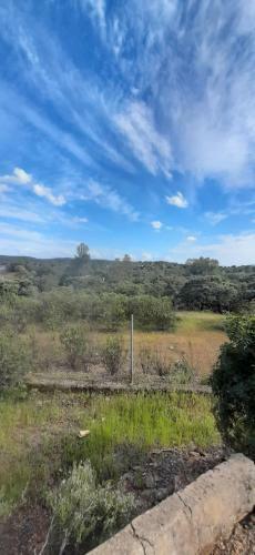 Campoamor