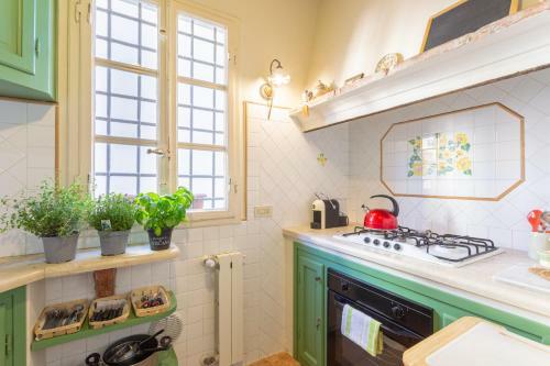 Apartamento Aromatic Green House