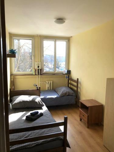 Apartment Orangine
