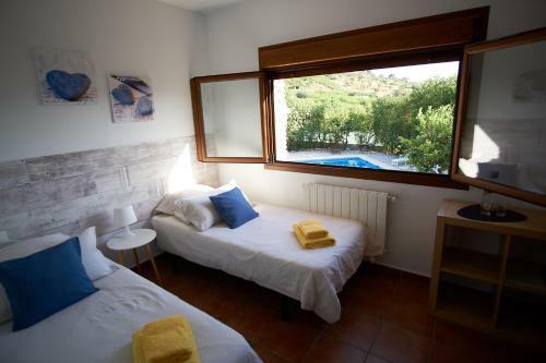 Bed & Breakfast Finca Lim�n