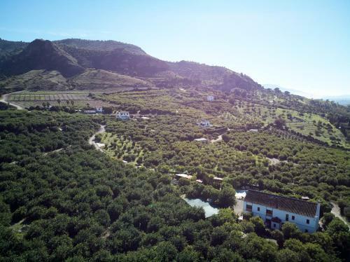 Bed & Breakfast Finca Lim�n