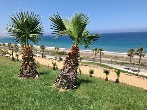 Apartamento Flamingo Moj�car