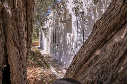 Apartamento La Casa Del Gelsomino Tra Noto E Mare