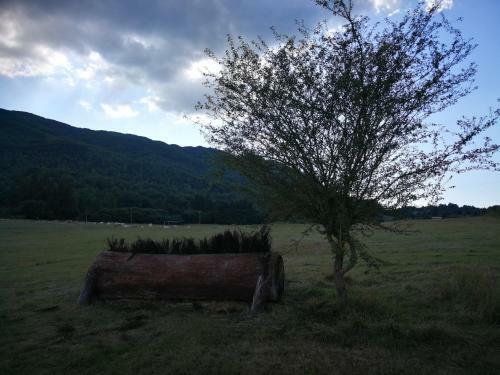 Apartamento Casa Di Jos� E Miriam
