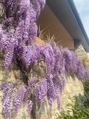 B&B Fior Di Toscana