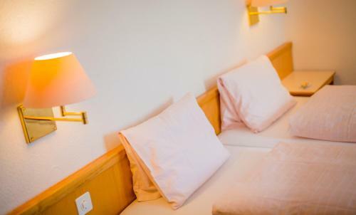 Hotel Heilquelle
