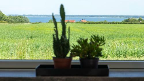 Hotel Samsted