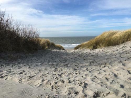 Beach Resort Kamperland - 1772