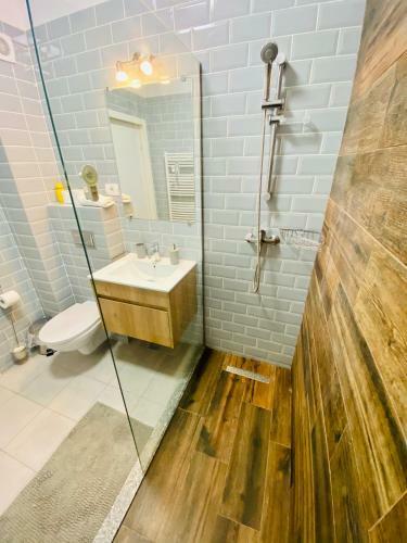 Apartament New Central