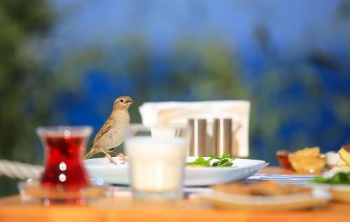 Mavilim Hotel