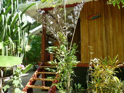 Hotel El Peque�o Gecko Verde