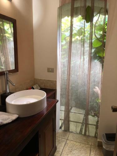 Hotel El Peque�o Gecko Verde