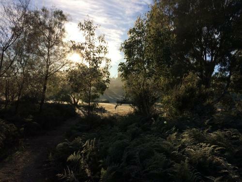 Grampians Pioneer Cottages