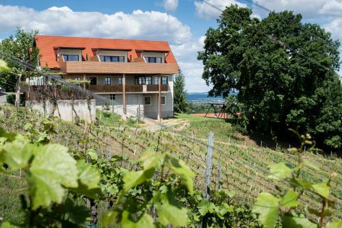 Agroturismo Weingut Assigal