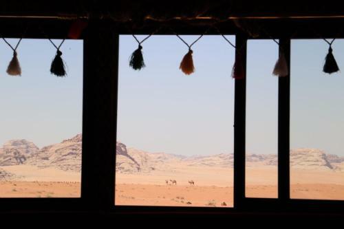 Desert Shine Camp
